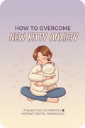 How to Overcome New Kitty Anxiety